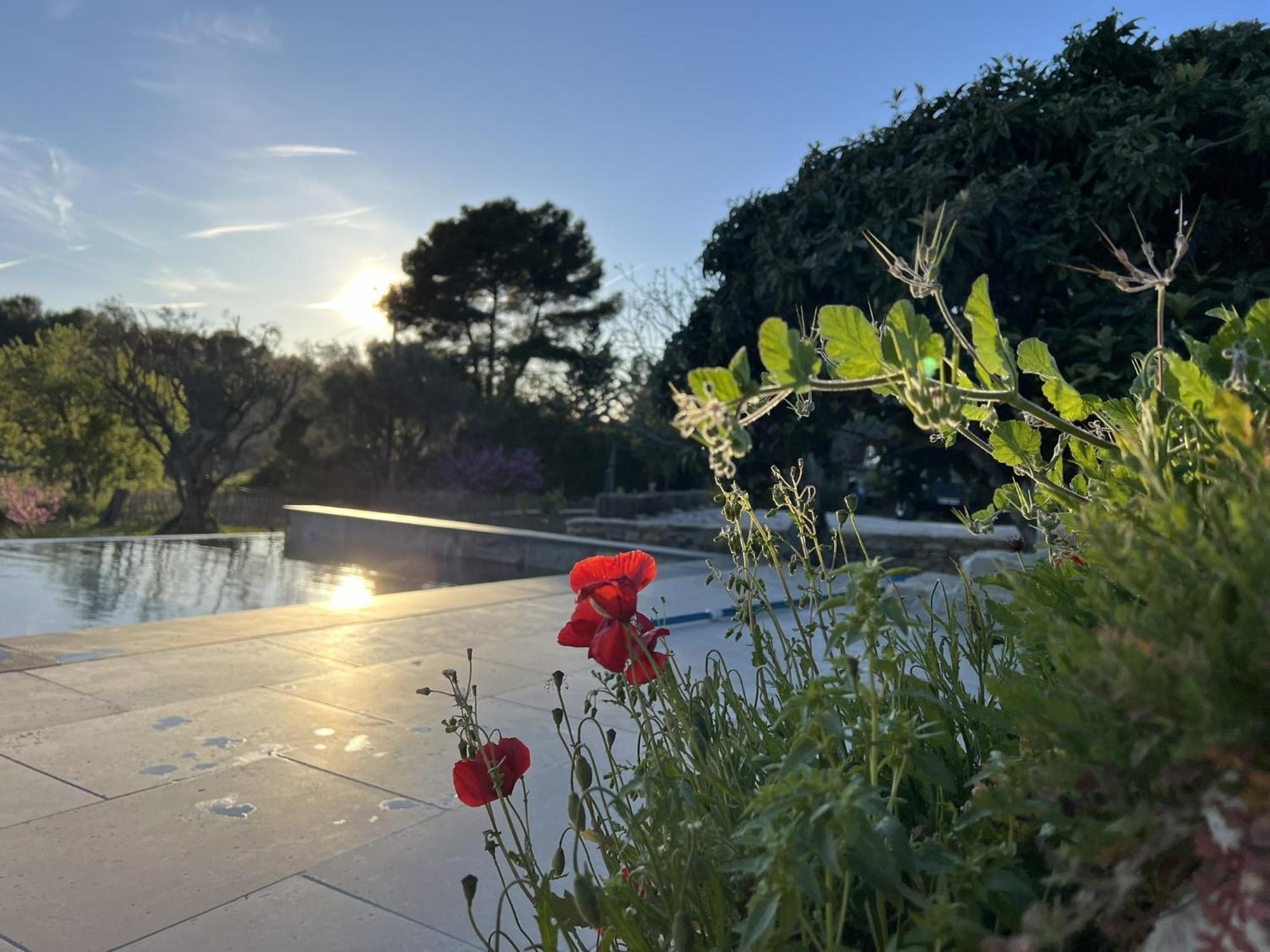 Le Mas Golie Le Castellet  Exterior foto