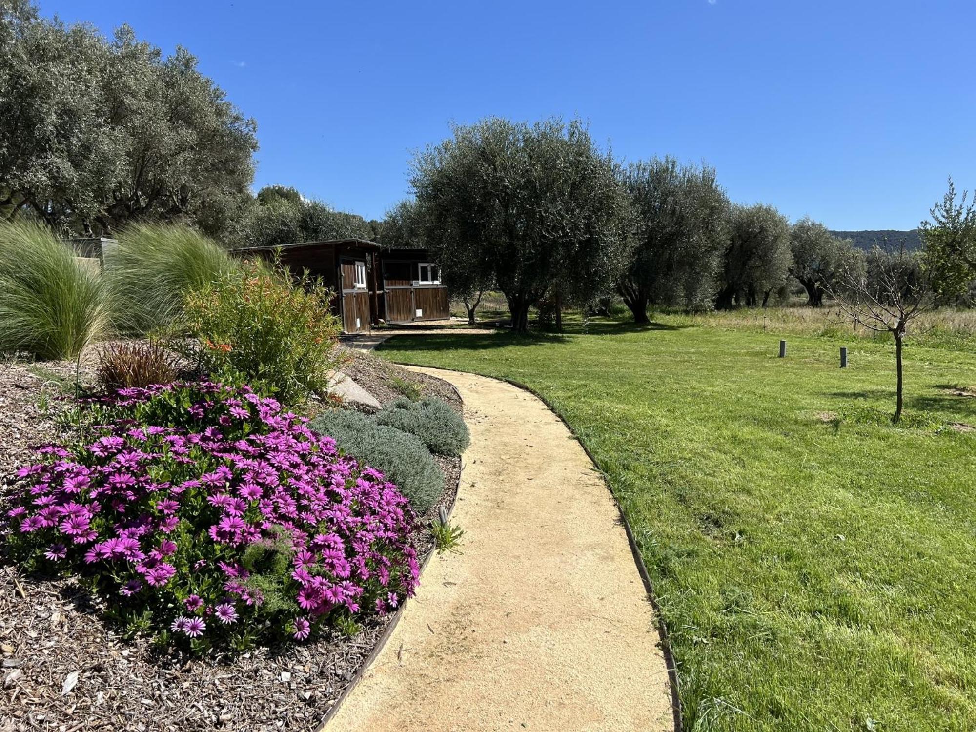 Le Mas Golie Le Castellet  Exterior foto